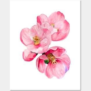 Flowering Quince Posters and Art